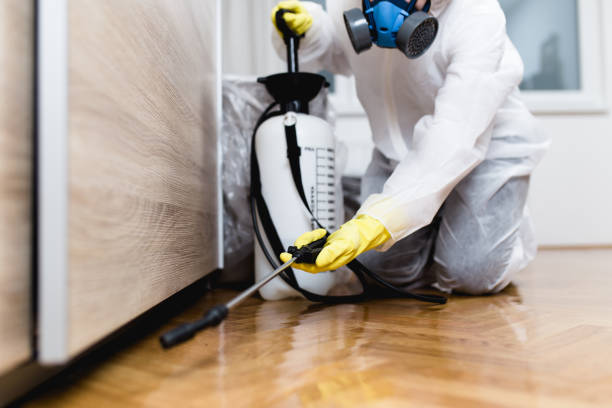 Best Pest Control Near Me  in Mec, CA