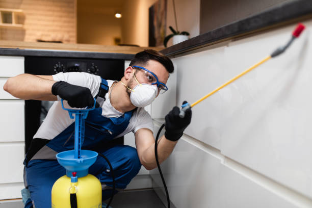 Best Emergency Pest Control  in Mec, CA