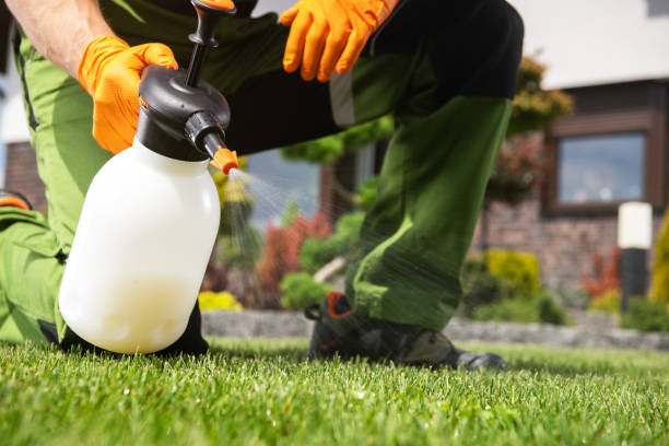 Best Rodent Control Near Me  in Mec, CA
