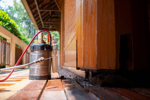Best Mosquito Control Services  in Mec, CA
