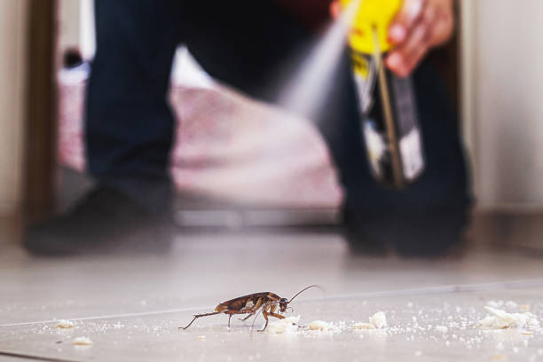 Best Bed Bug Extermination  in Mec, CA