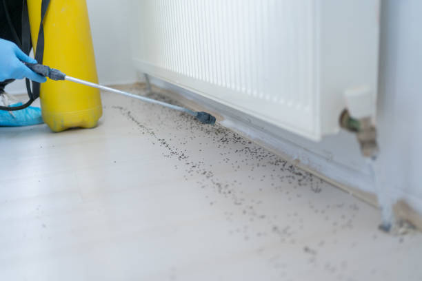 Best Residential Pest Control  in Mec, CA